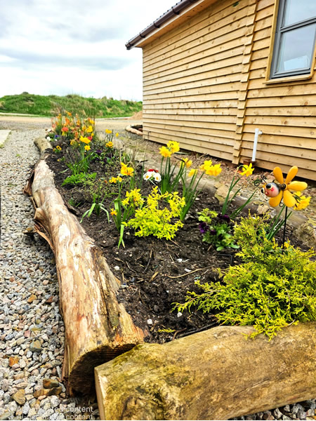 Flower bed outside cabin 1